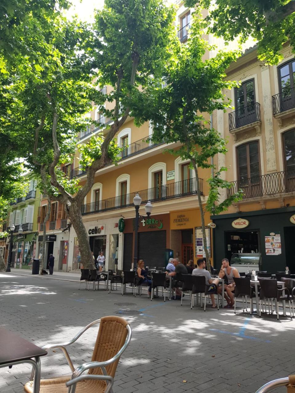 Hostal Marques De Campo Dénia Eksteriør billede
